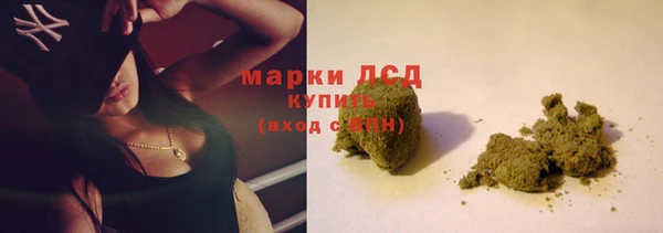 шишки Беломорск