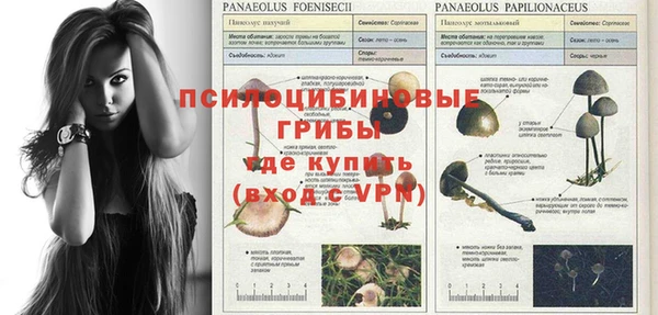 тгк Баксан