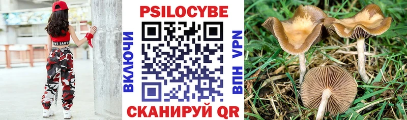 Галлюциногенные грибы ЛСД купить наркотики цена мега Белокуриха